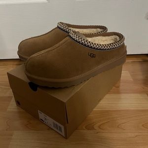 Brand New Tasman Uggs